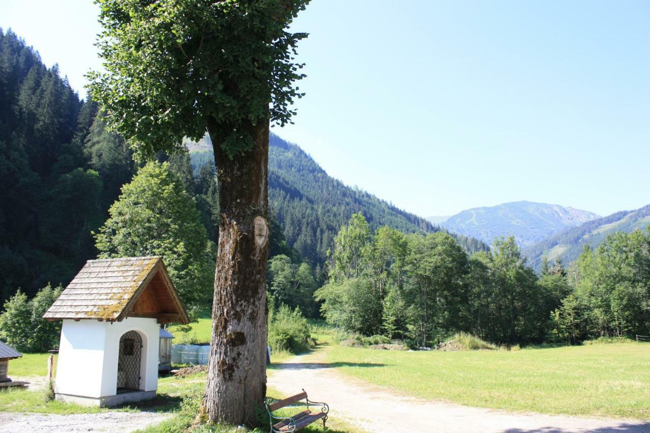 Chalet Ferienhaus Radmer Radmer an der Hasel Bagian luar foto